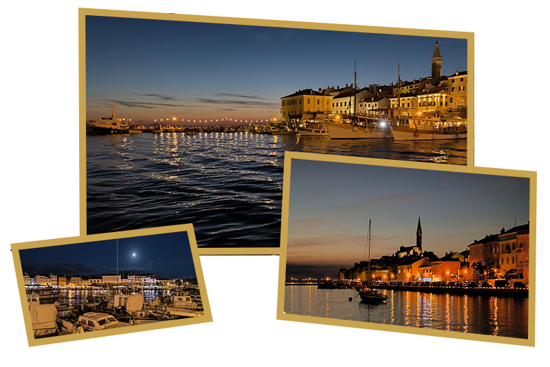 web-pro nightttdtdtdtdtdtd